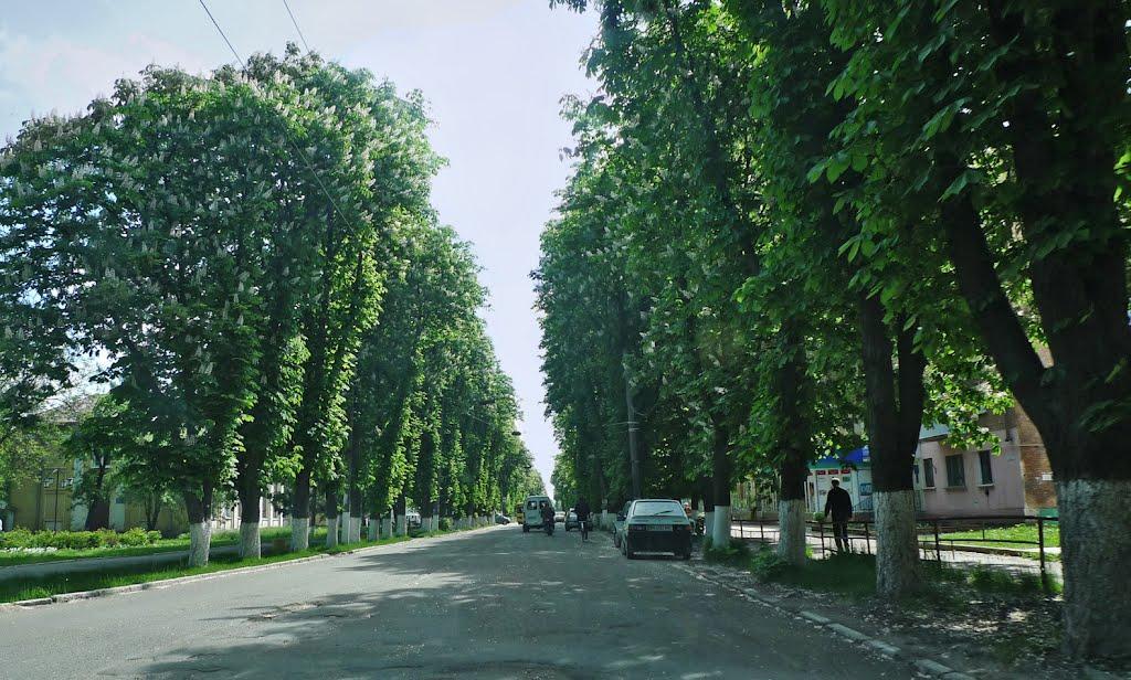 Знам'янка з panoramio.com - Знам'янка
