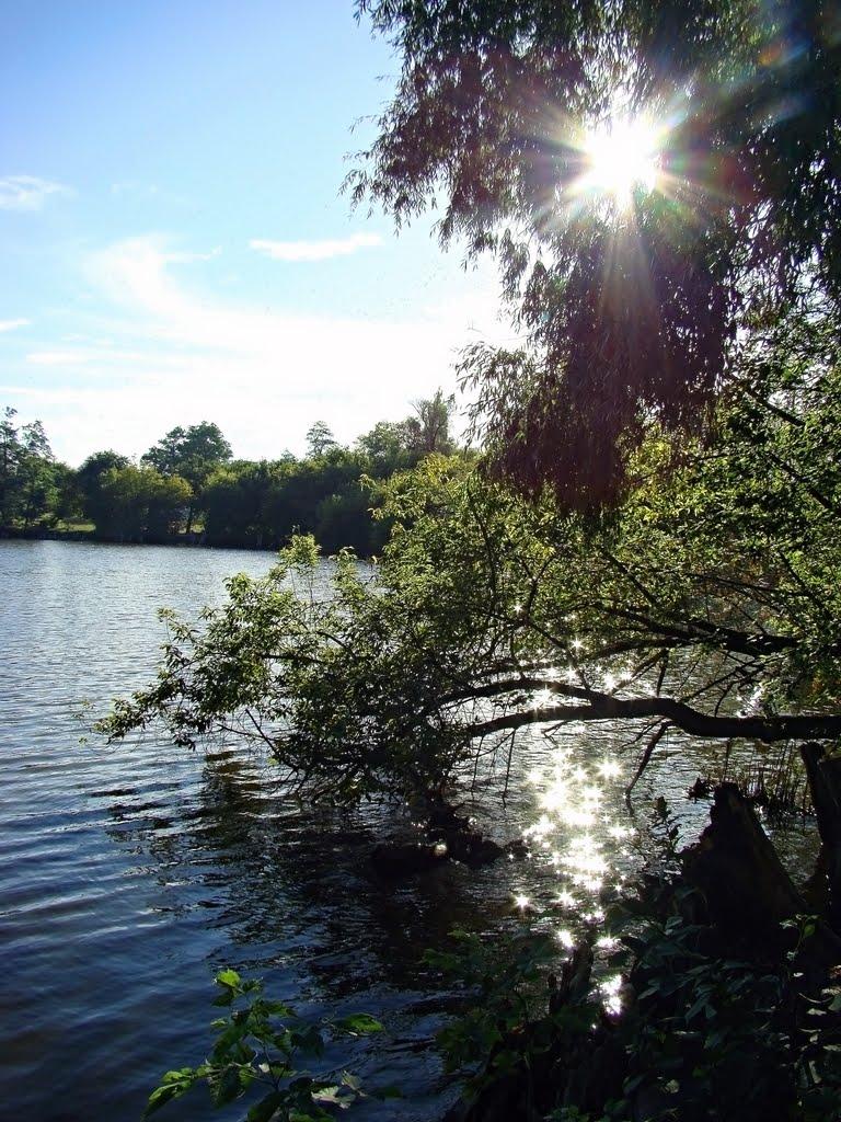 Зелена Долина з panoramio.com - Зеленая Долина