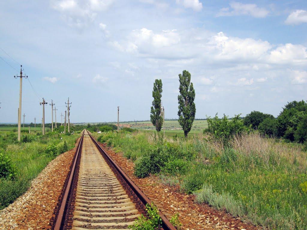 Покровське з panoramio.com - Покровське