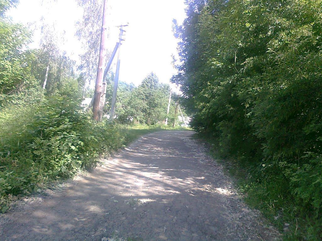 Люлинці з panoramio.com - Люлинцы