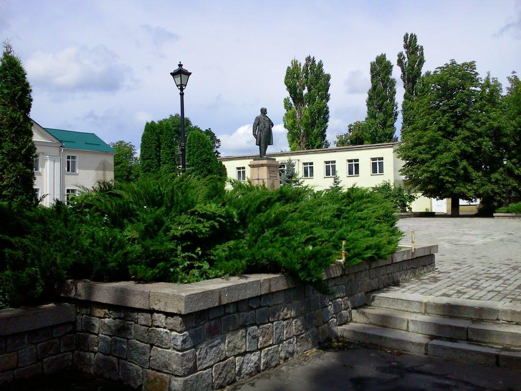 Шевченкове з panoramio.com - Шевченкове