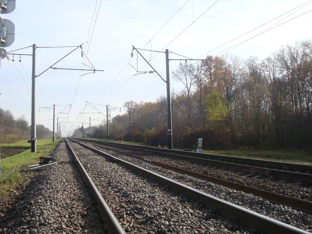 Мартинівка з panoramio.com - Мартинівка