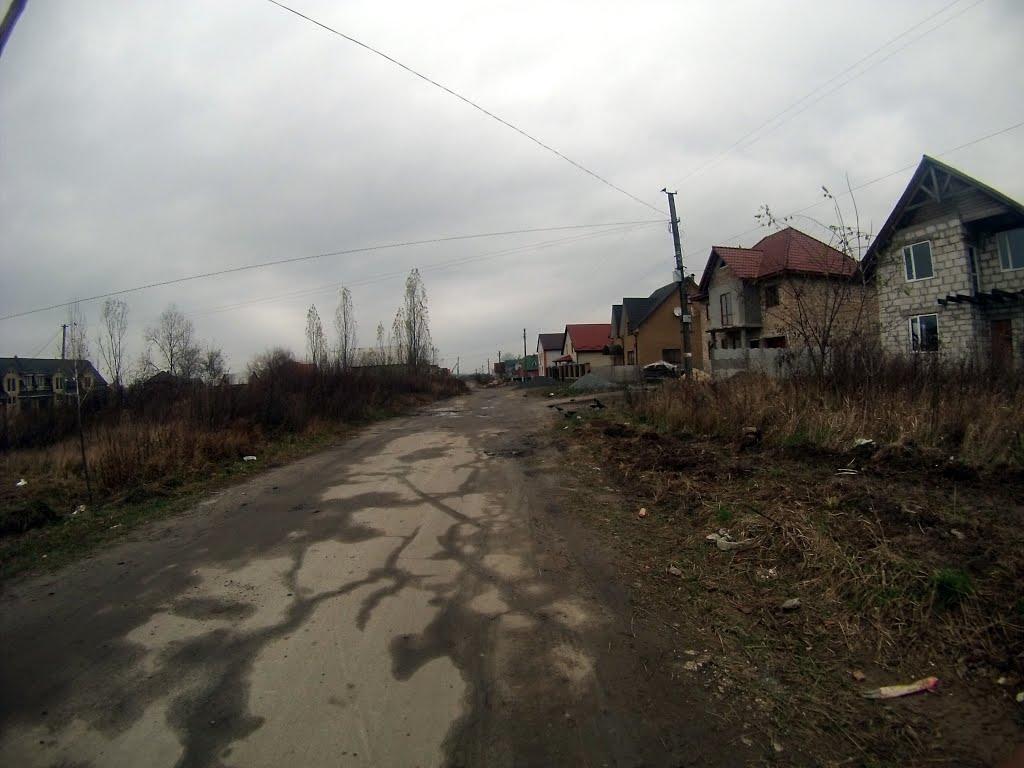 Новоград-Волинський з panoramio.com (ч.3) - Новоград-Волинський