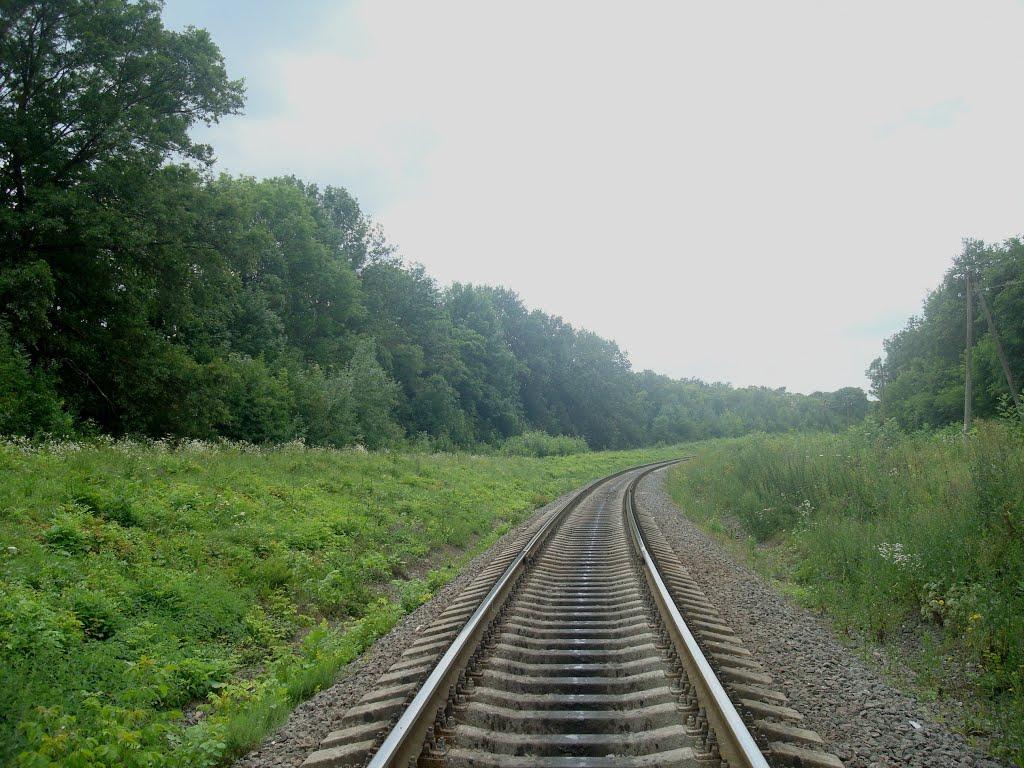 Нігин з panoramio.com - Нігин