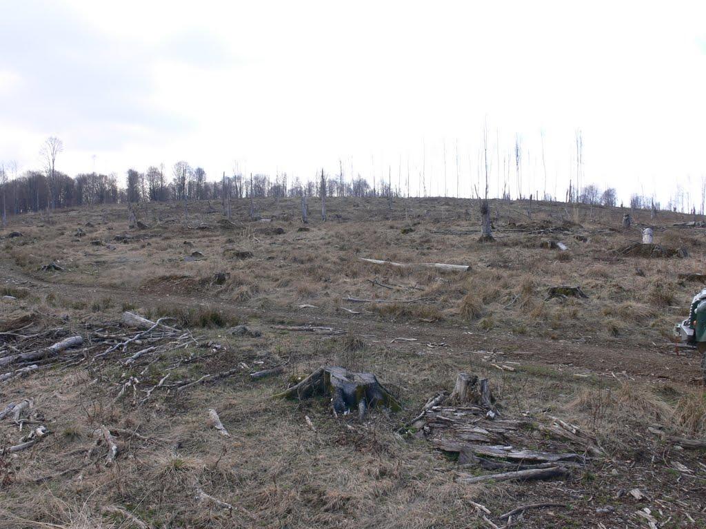 Бедевля з panoramio.com - Бедевля