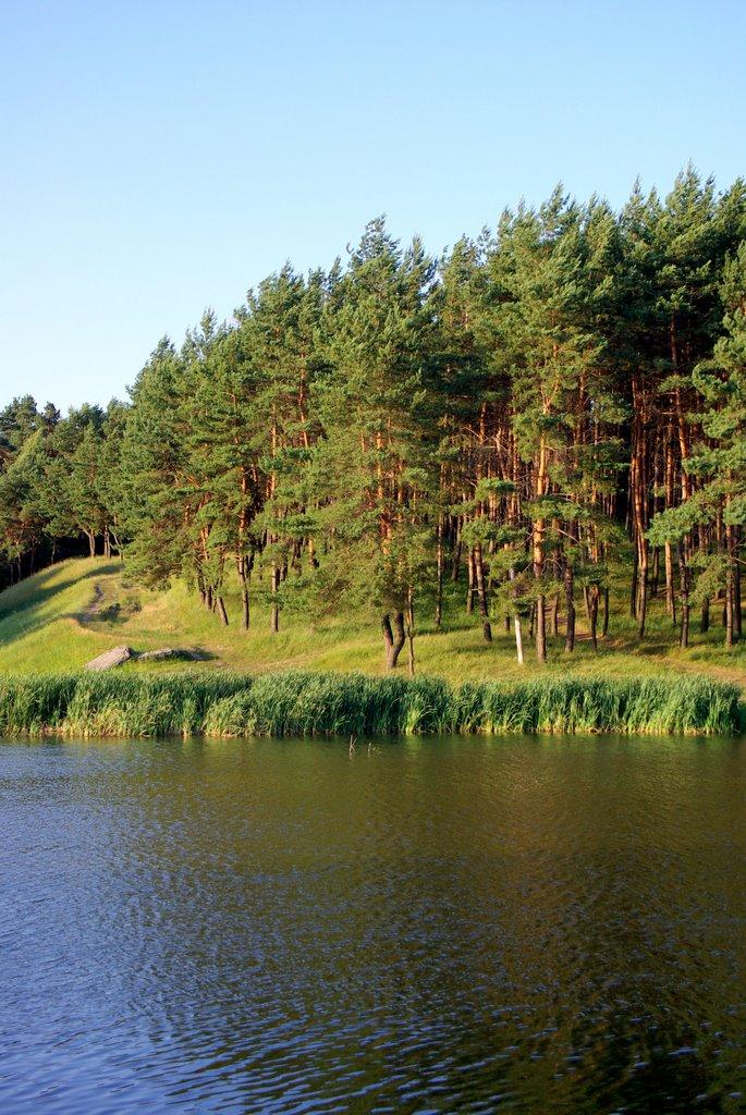 Нова Мерефа з panoramio.com - Нова Мерефа