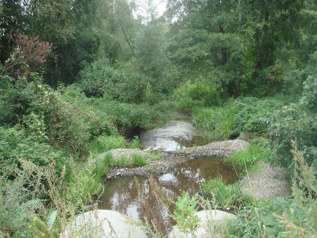 Забуяння з panoramio.com - Забуяння