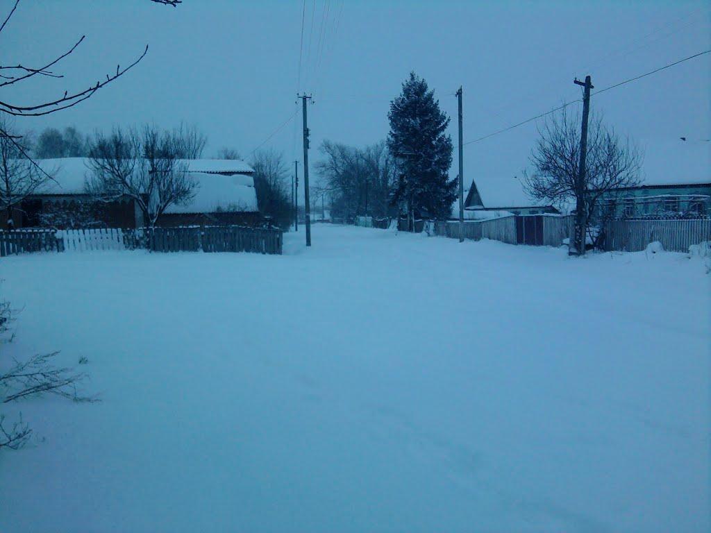 Велика Рача з panoramio.com - Велика Рача