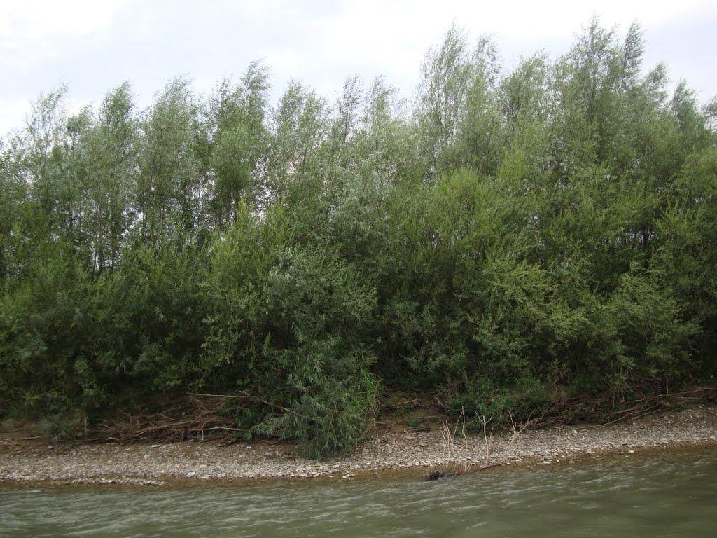 Рудники з panoramio.com - Рудники