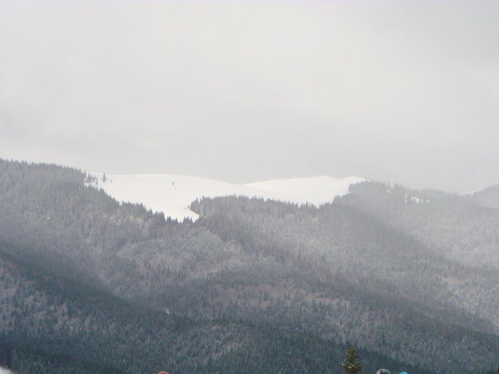 Стебний з panoramio.com - Стебний