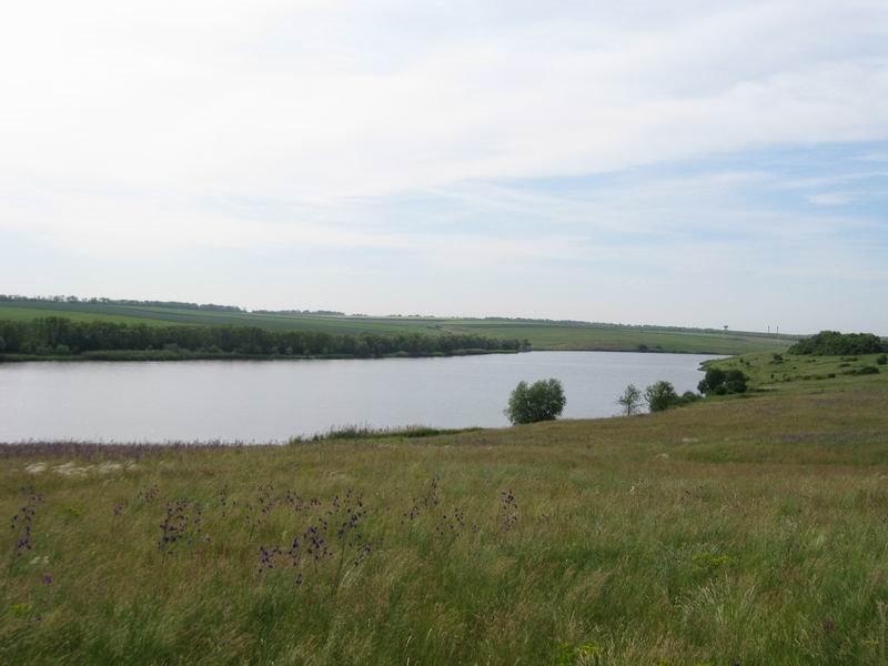 Трудівське з panoramio.com - Трудівське