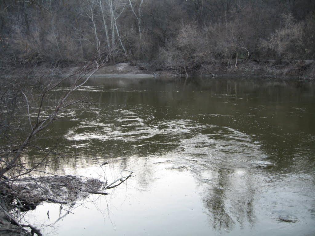 Плавні з panoramio.com - Плавни