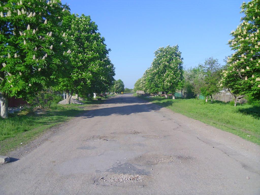 Малоандріївка з panoramio.com - Малоандріївка