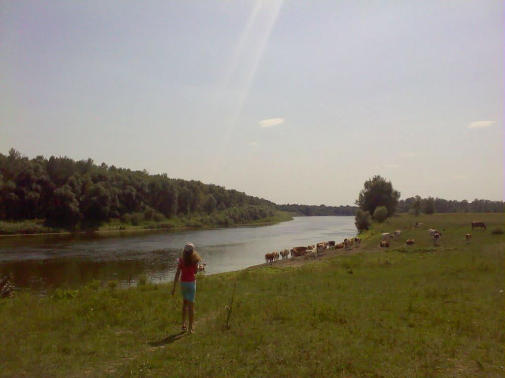 Максаки з panoramio.com - Максаки