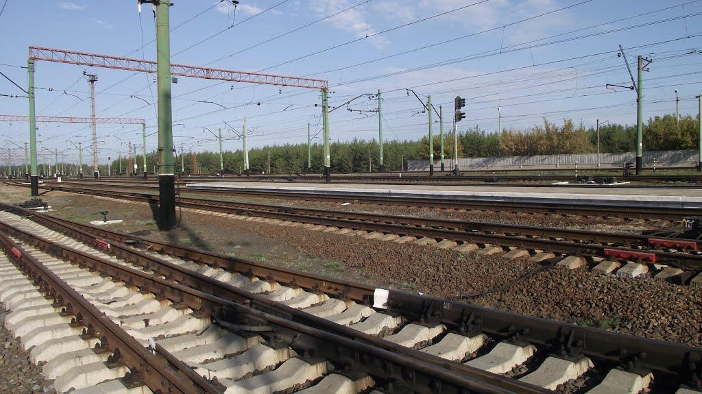 Святогірськ з panoramio.com - Святогорск
