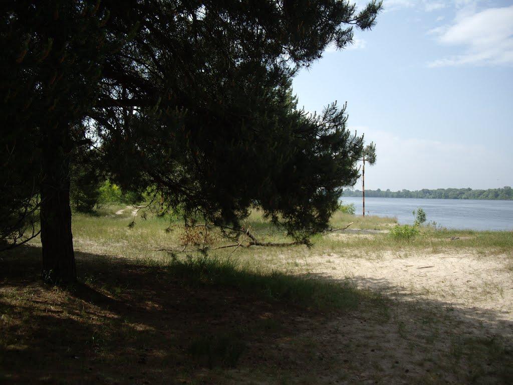 Хрещатик з panoramio.com - Хрещатик