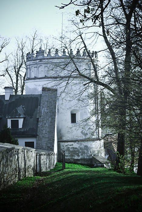Нижанковичі з panoramio.com (ч.2) - Nyzhankovychi