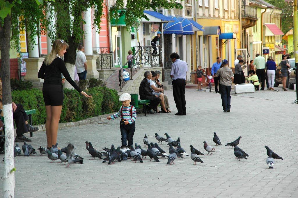 Бережани з panoramio.com - Berezhany