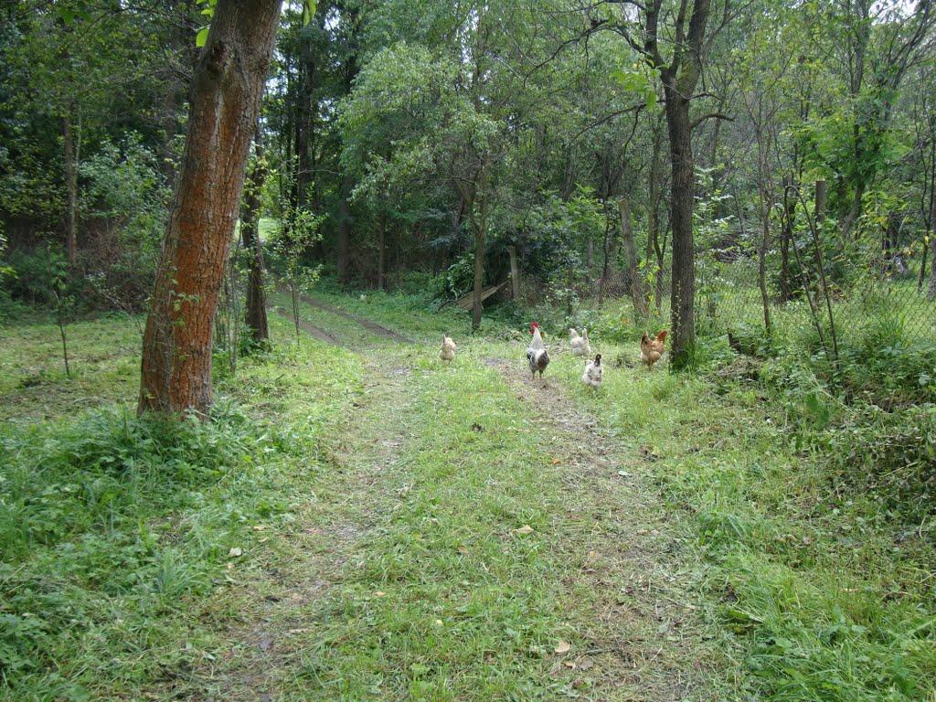 Рудники з panoramio.com - Рудники