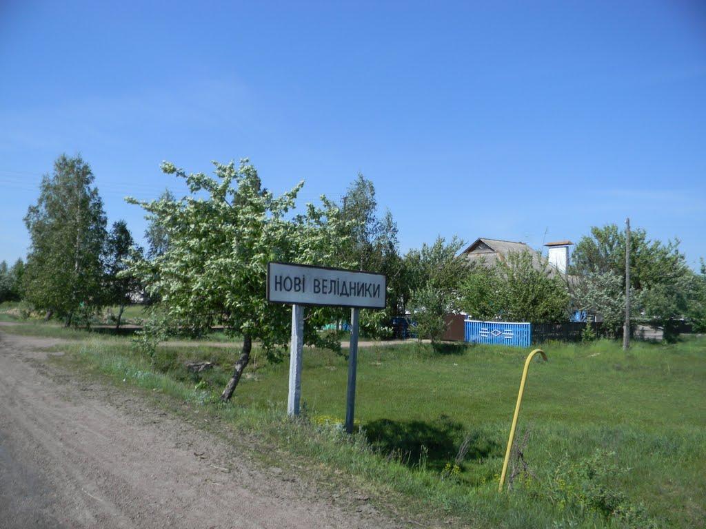 Нові Велідники з panoramio.com - Нові Велідники
