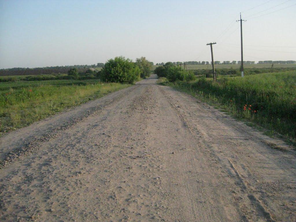 Манівці з panoramio.com - Манівці