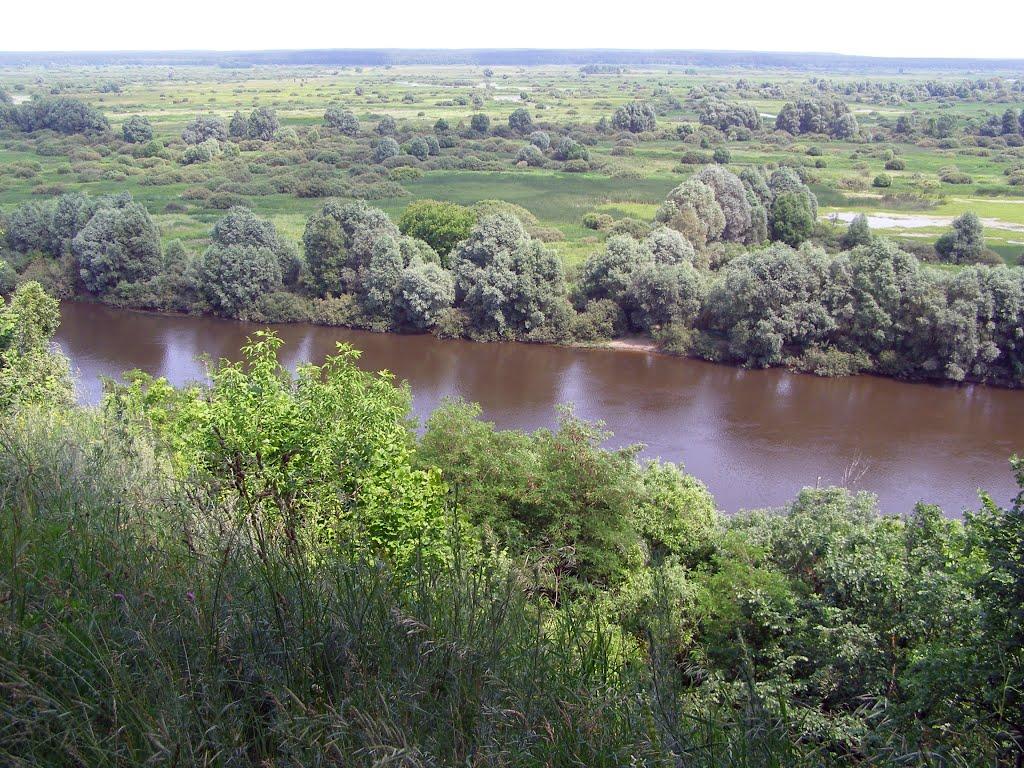 Новгород-Сіверський з panoramio.com - Новгород-Сіверський