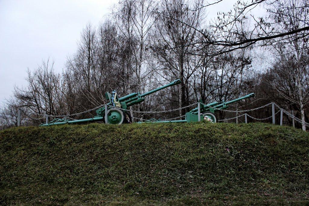 Весела Долина з panoramio.com - Весела Долина