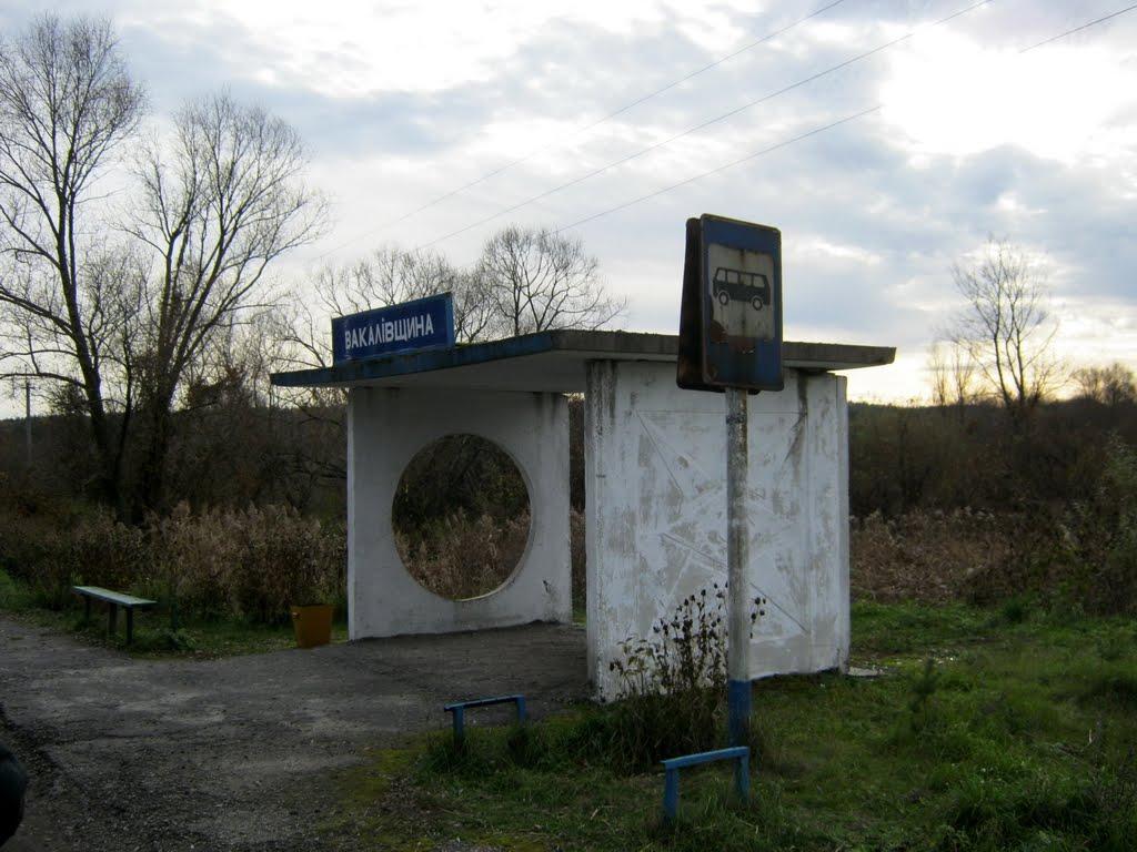 Вакалівщина з panoramio.com - Вакалівщина