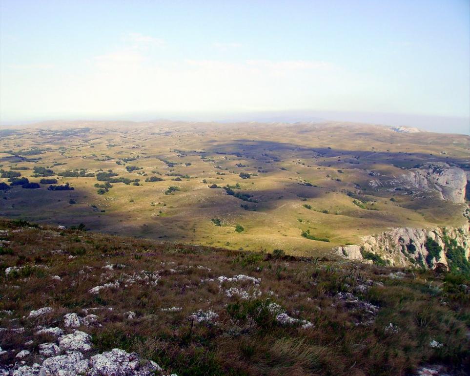 Генеральське з panoramio.com (ч.3) - Генеральське