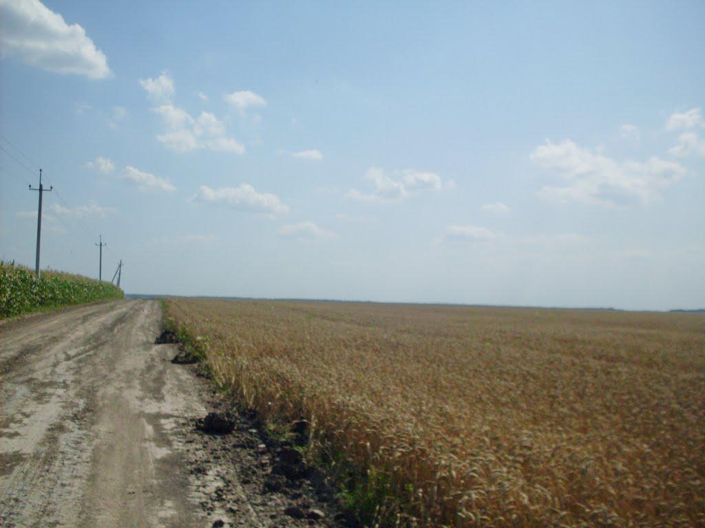 Краснопілка з panoramio.com - Краснопілка