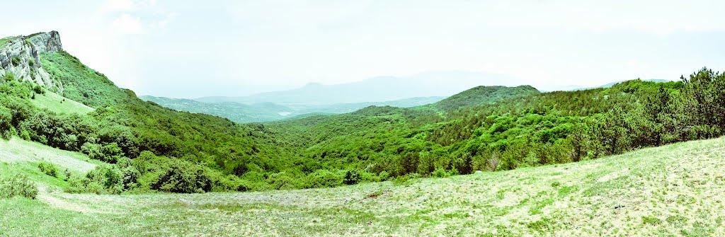 Лаванда з panoramio.com (ч.2) - Lavanda