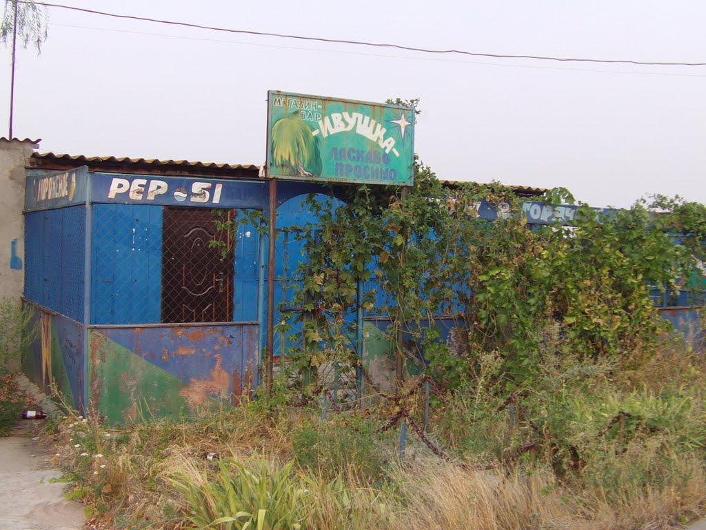Покровське з panoramio.com - Покровське