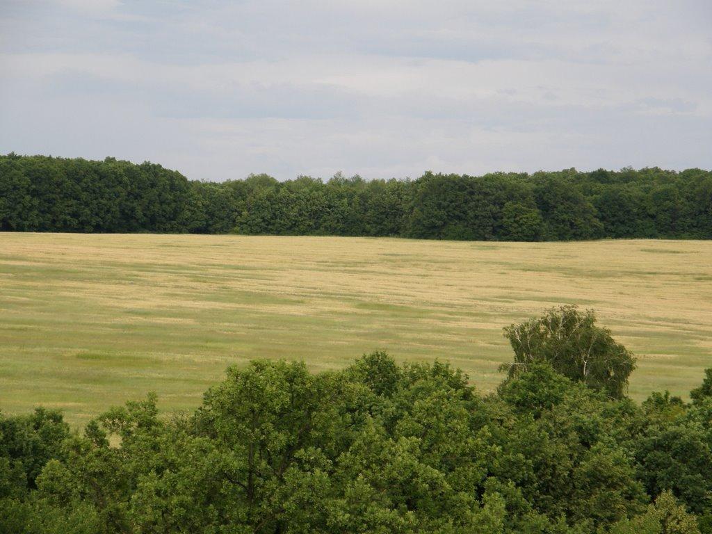 Рокитне з panoramio.com - Рокитне