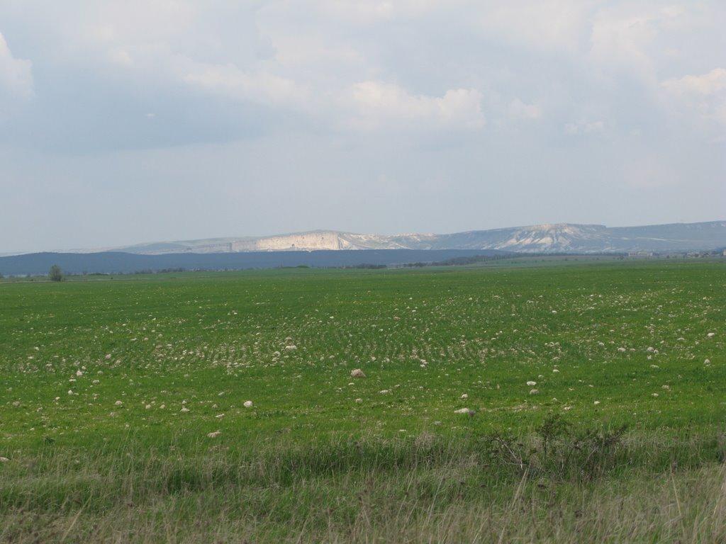Олександрівка з panoramio.com - Олександрівка