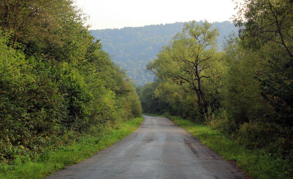 Крушельниця з panoramio.com - Крушельниця