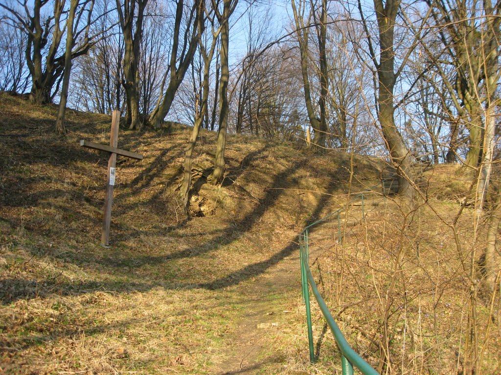 Підгірці з panoramio.com - Подгорцы
