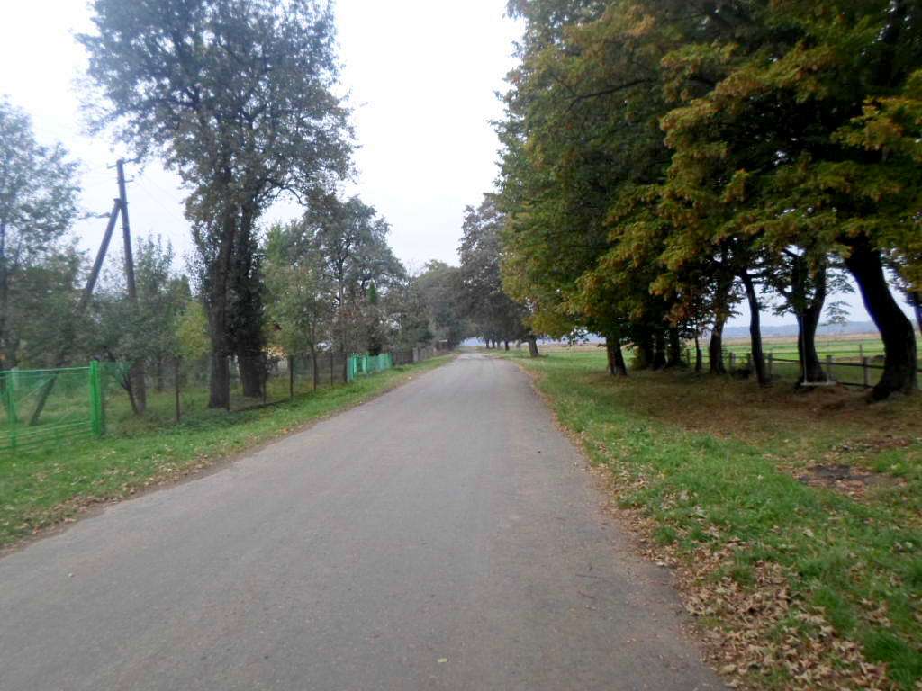 краєвид - Грабовець