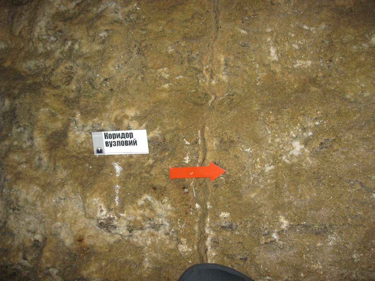 ПЕЧЕРА КРИШТАЛЕВА - Кривче