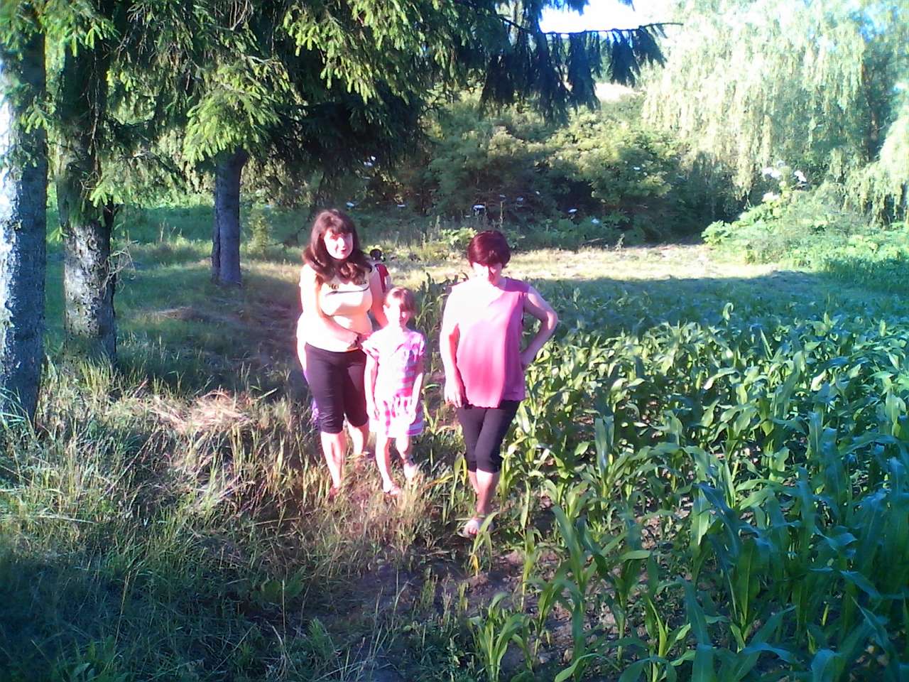 Хоросно 2014 - Хоросно