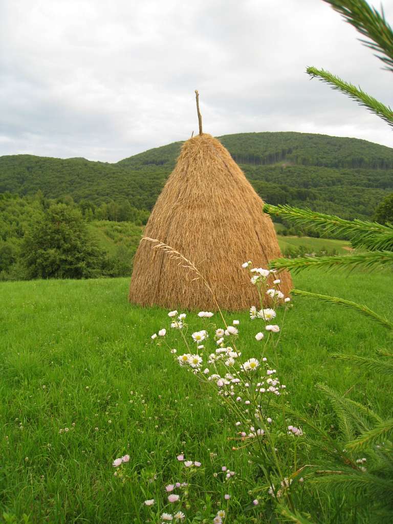 курорт Поляна - Поляна