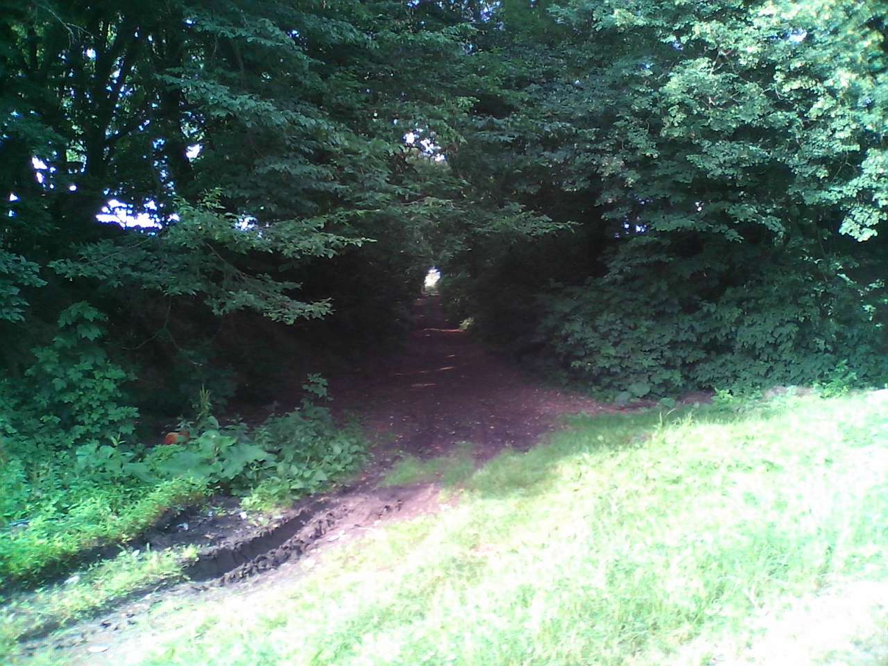 Хоросно 2014 - Хоросно