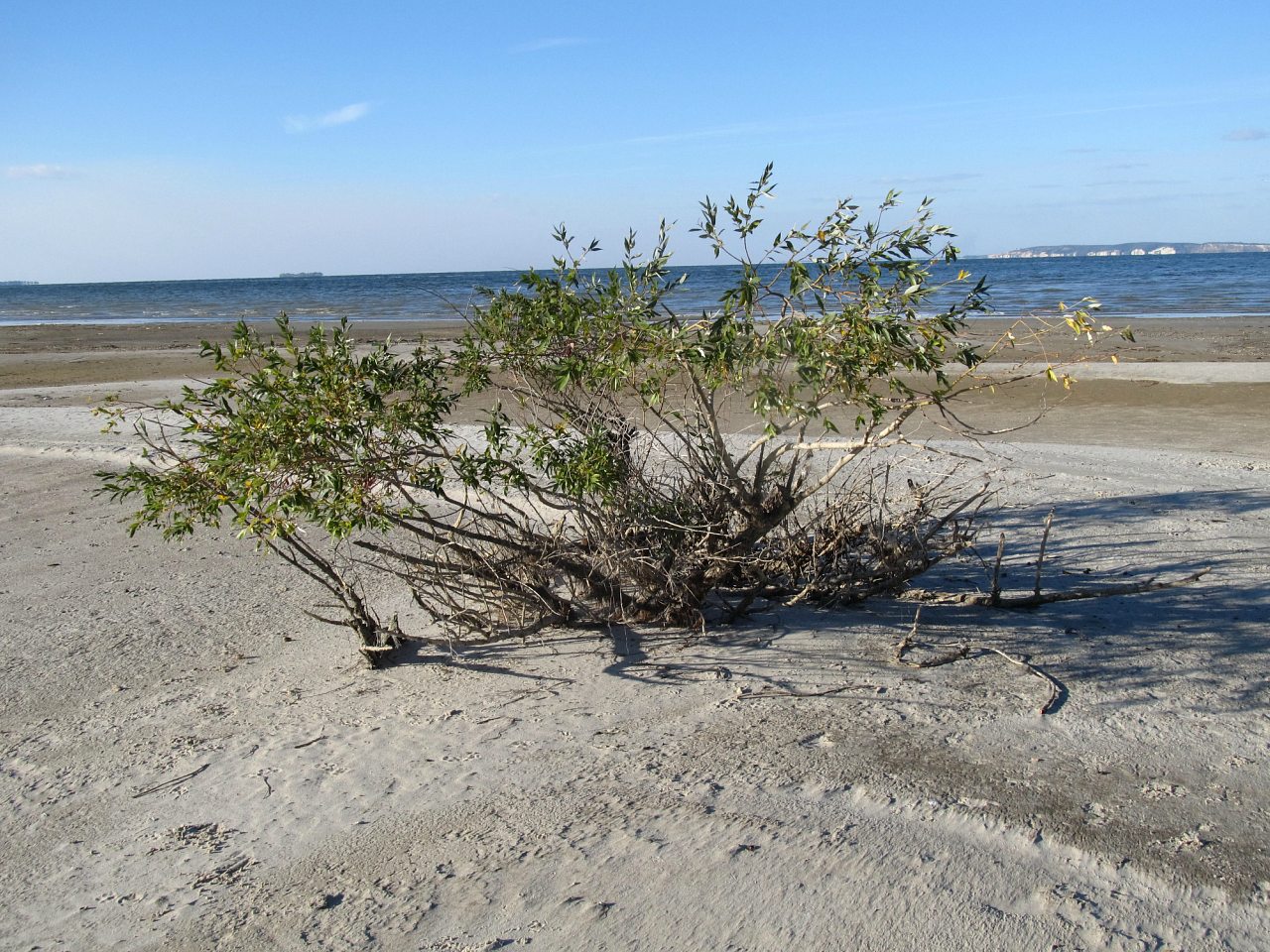 Жовтень 2015 р. - Нагірне