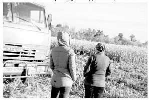 ЖИТТЯ  СЕЛА - Георгіївка