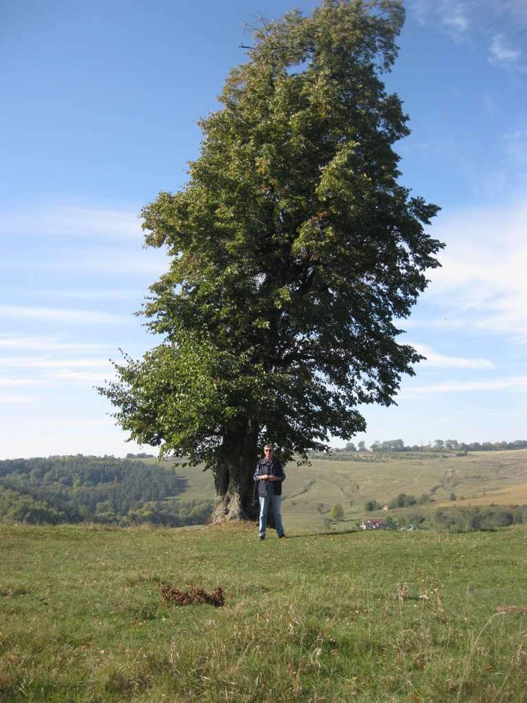 Підзамочинська фортеця - Підзамочок