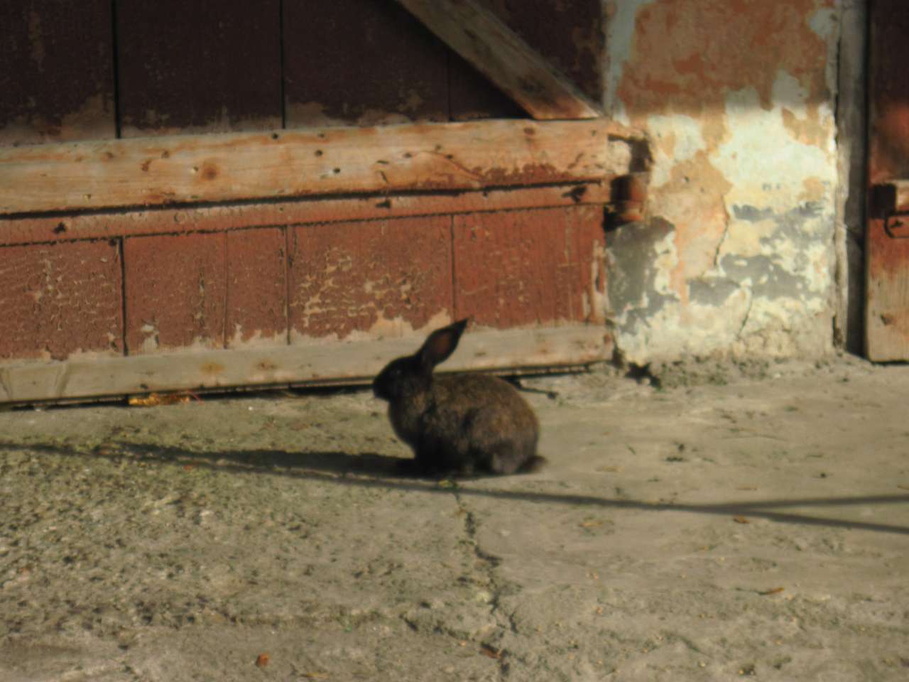 РУЇНИ ФОРТЕЦІ - Язловець