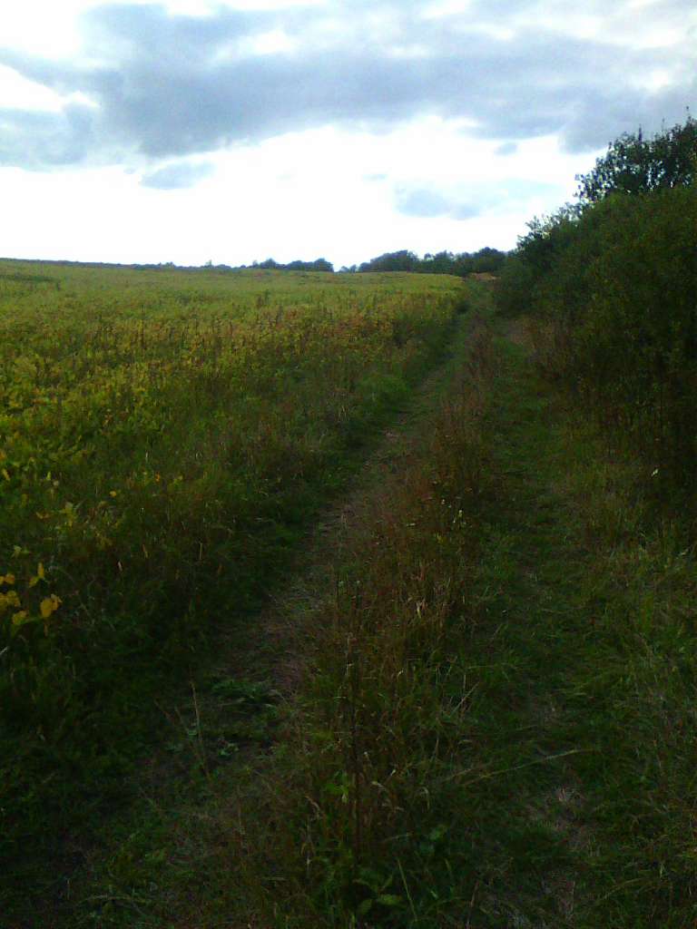 Тулиголови - Тулиголове