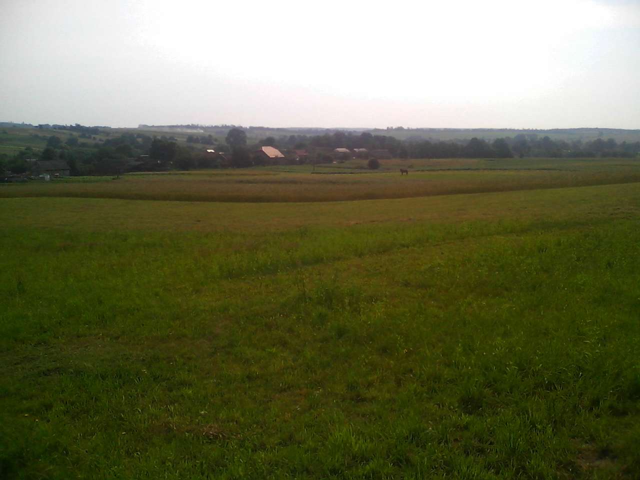 Хоросно 2014 - Хоросно