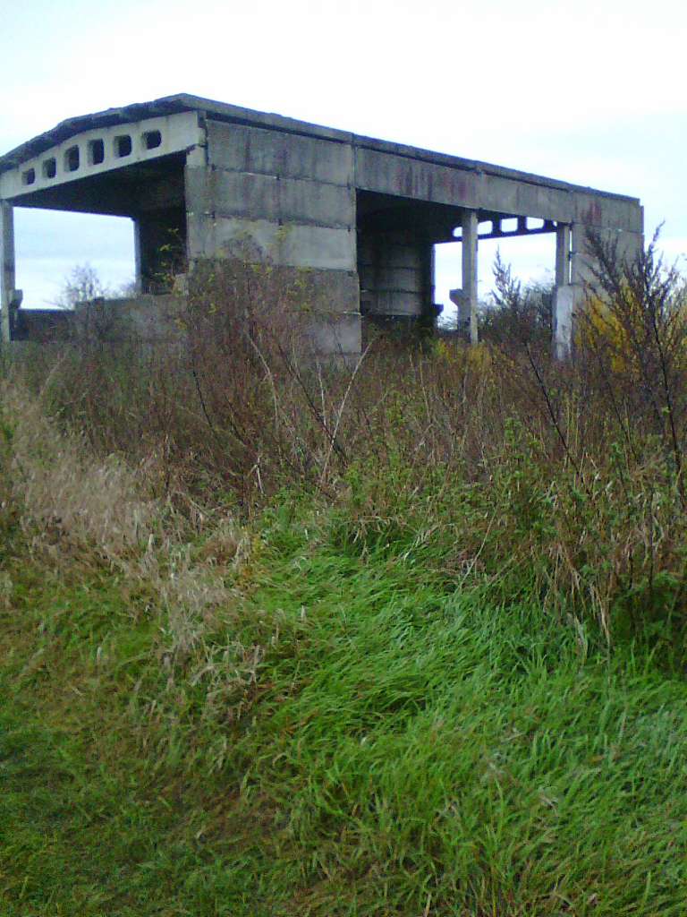 Руїни колишнього хімскладу - Нове Село