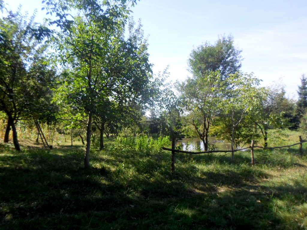 Ставок - Станків