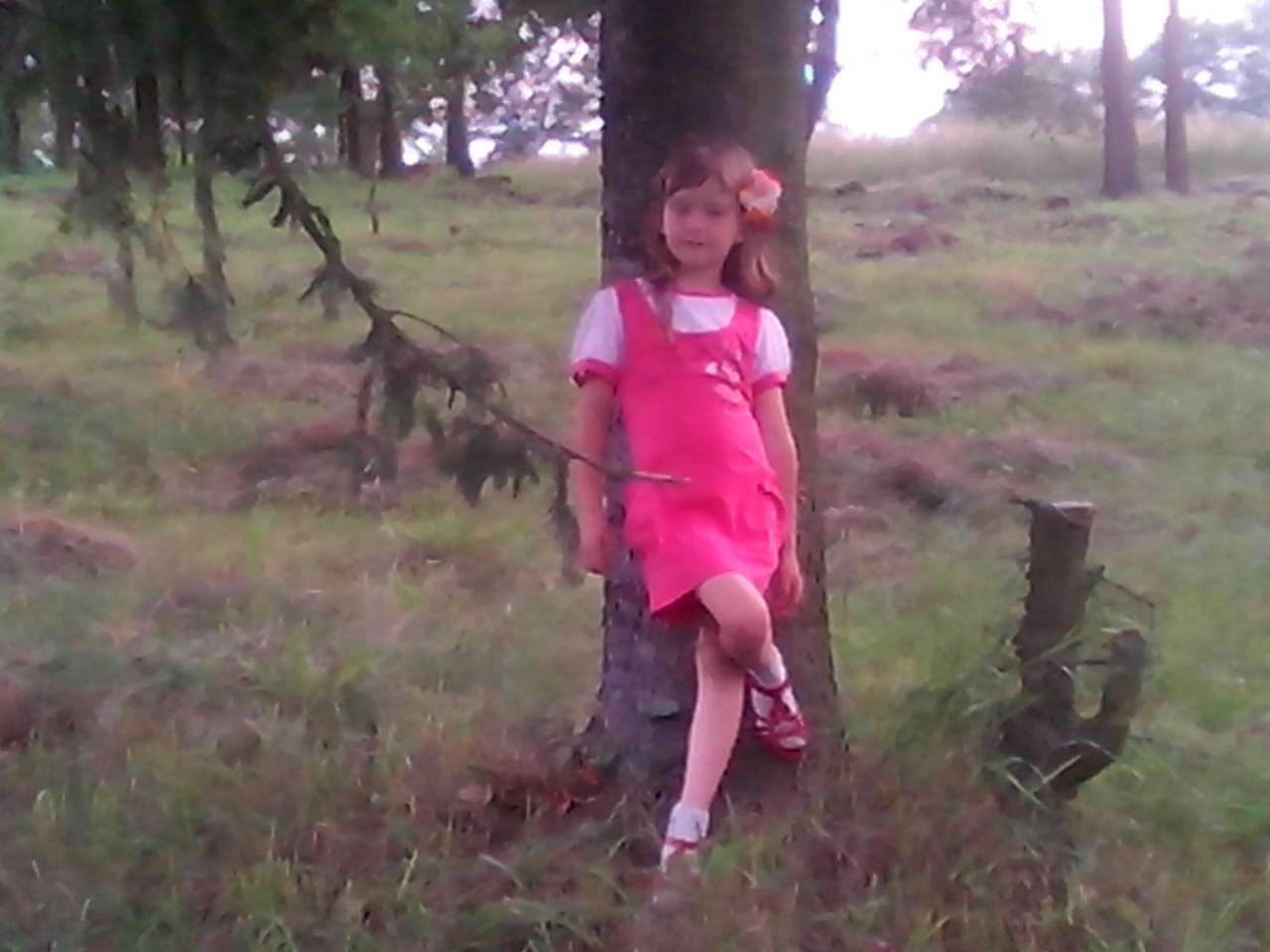 Хоросно 2014 - Хоросно